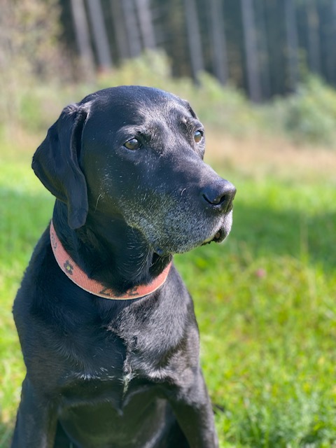 zoe