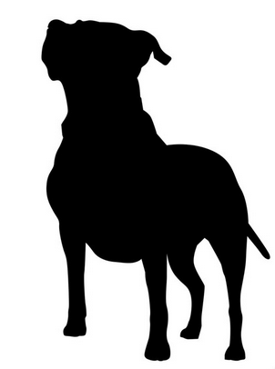 Armer Hund