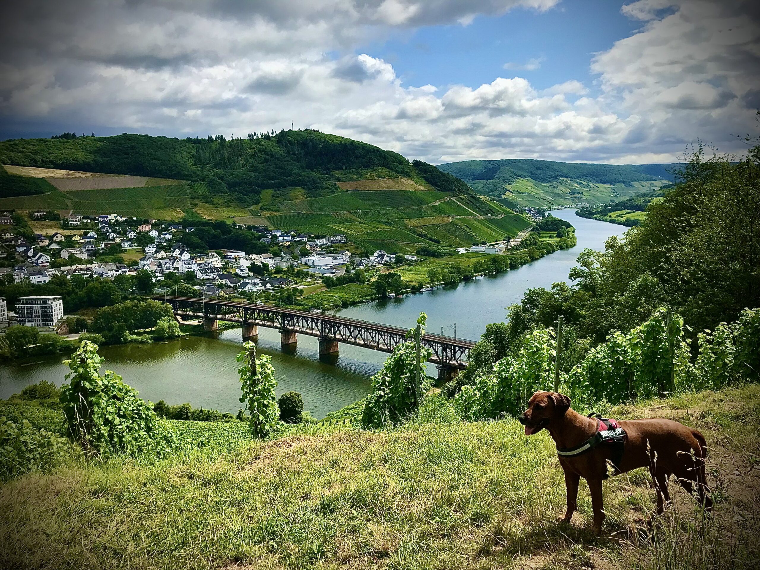 Blick in die Weite