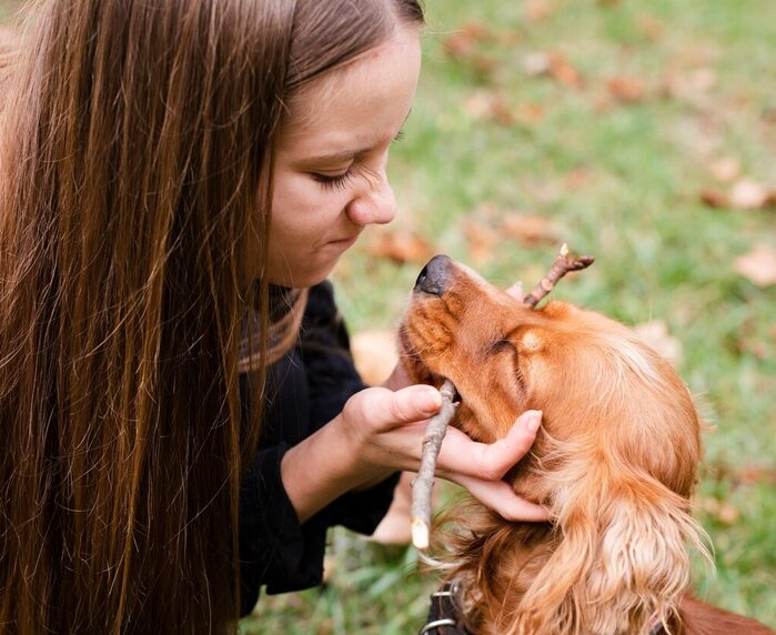 Hund sucht Beratung