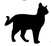 Miau