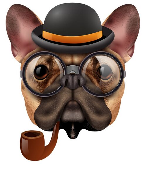 rauchender Hund